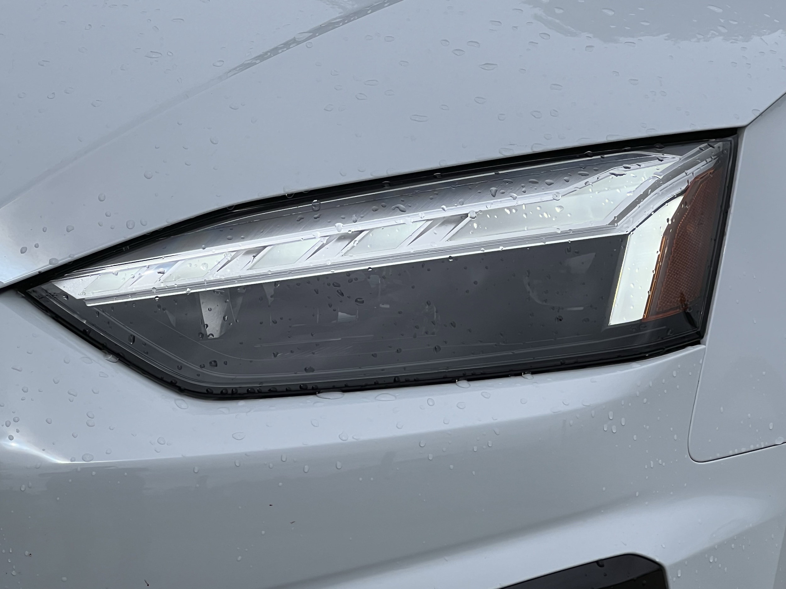 2023 Audi S5 Sportback Premium Plus photo 6