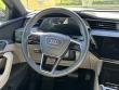 2024 Audi Q8 e-tron Prestige SUV