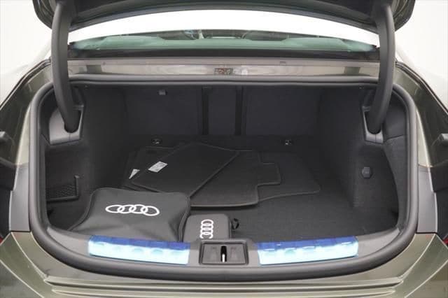 2026 Audi RS e-tron GT Performance Base - Photo 19