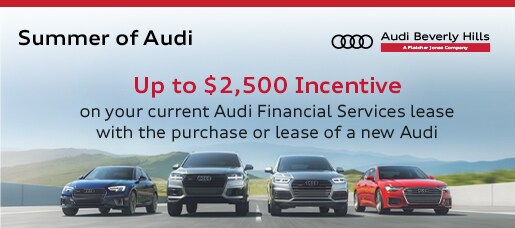 Summer of Audi - Audi BH.jpg