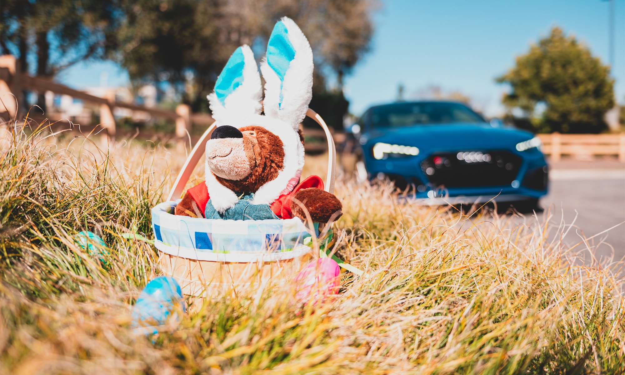 audi easter edit.jpg