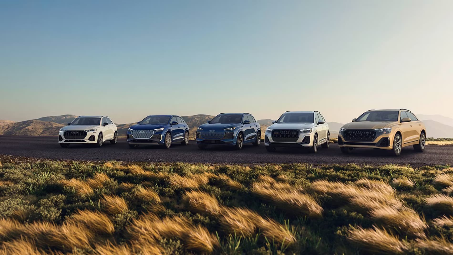 Audi_Family_SUV_s_-_Main_Blog_Image.jpeg