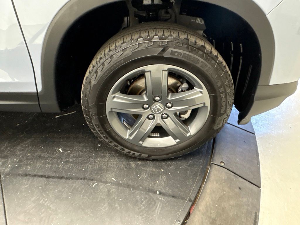 Photo 18