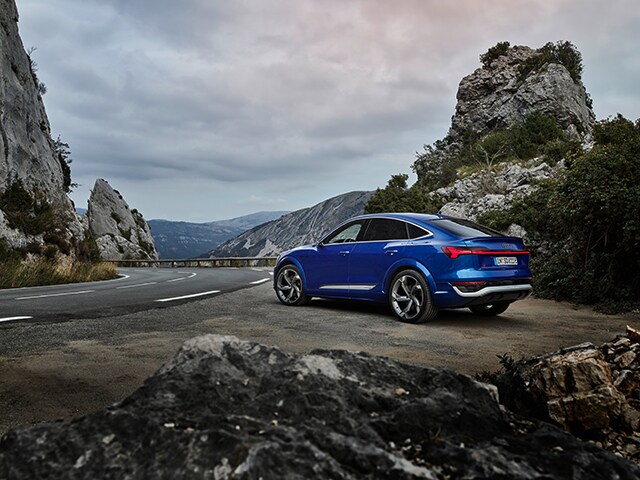 Rocker Panel Kit | AUDI Q8 E-TRON SUV 2024 Rocker Panel Kit | AUDI Q8 E-TRON SUV 2024