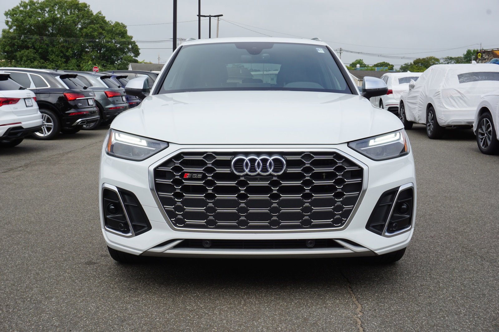 Certified 2024 Audi SQ5 Premium Plus with VIN WA1B4AFY0R2033866 for sale in Wallingford, CT