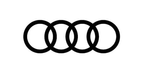 Audi Magna Society