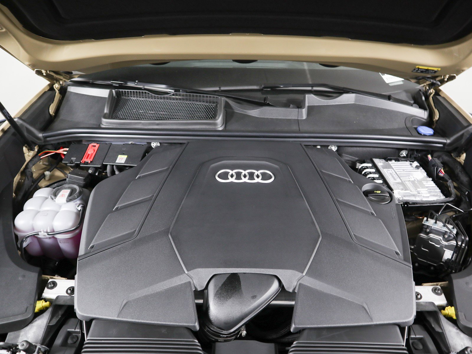 2024 Audi Q8 55 Prestige photo 3