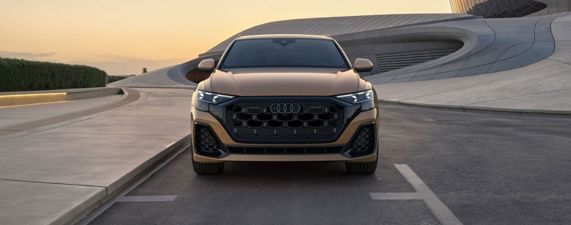 The 2025 Audi Q8 in Ottawa, ON