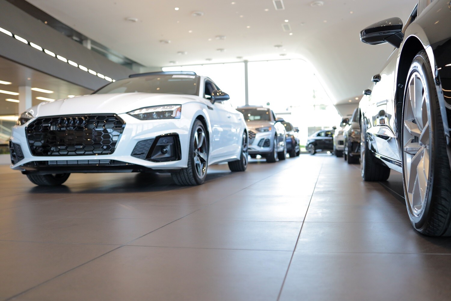 Audi Owing Mills Audi Owing Mills Showroom interior