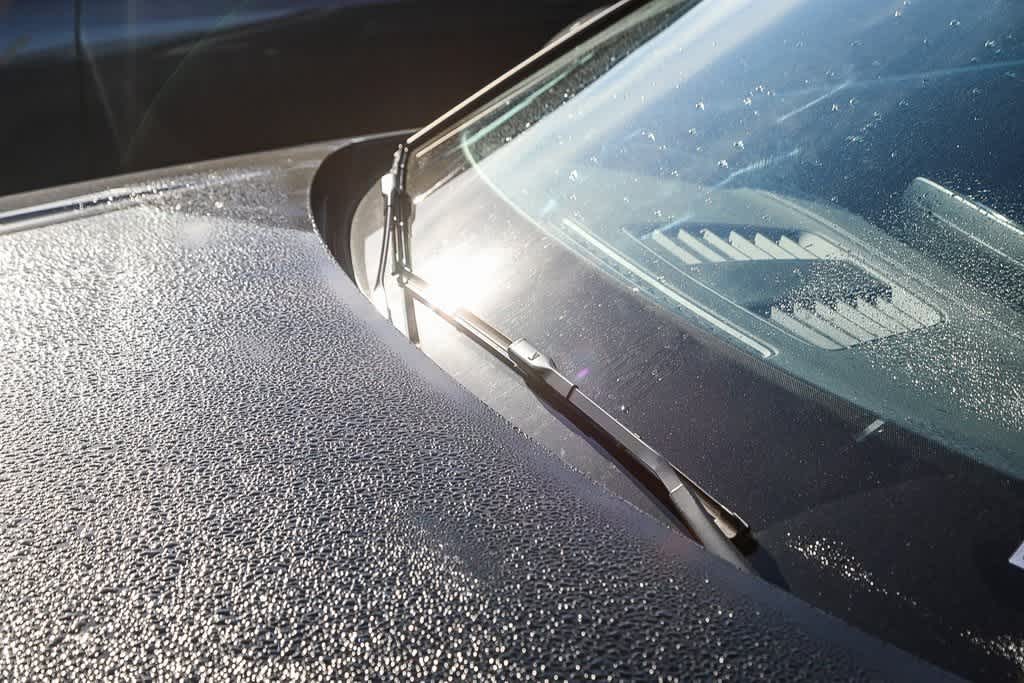 Thumbnail: 2025 Audi A5 - 16