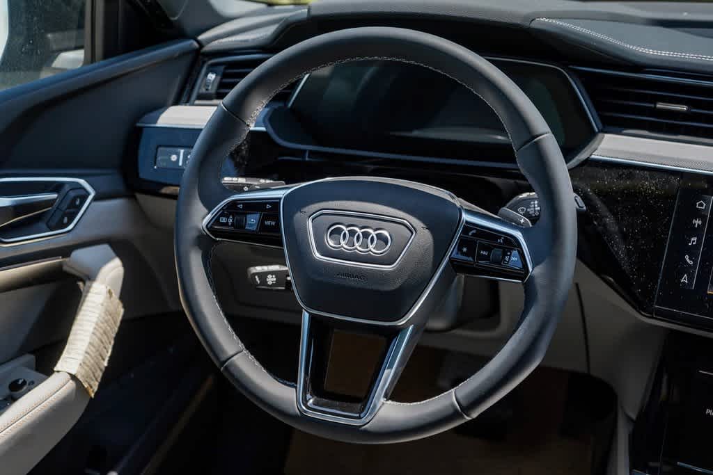 2024 Audi Q8 e-tron Prestige 15