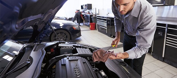 Audi Q 7 Timing Chain Replacement Interval