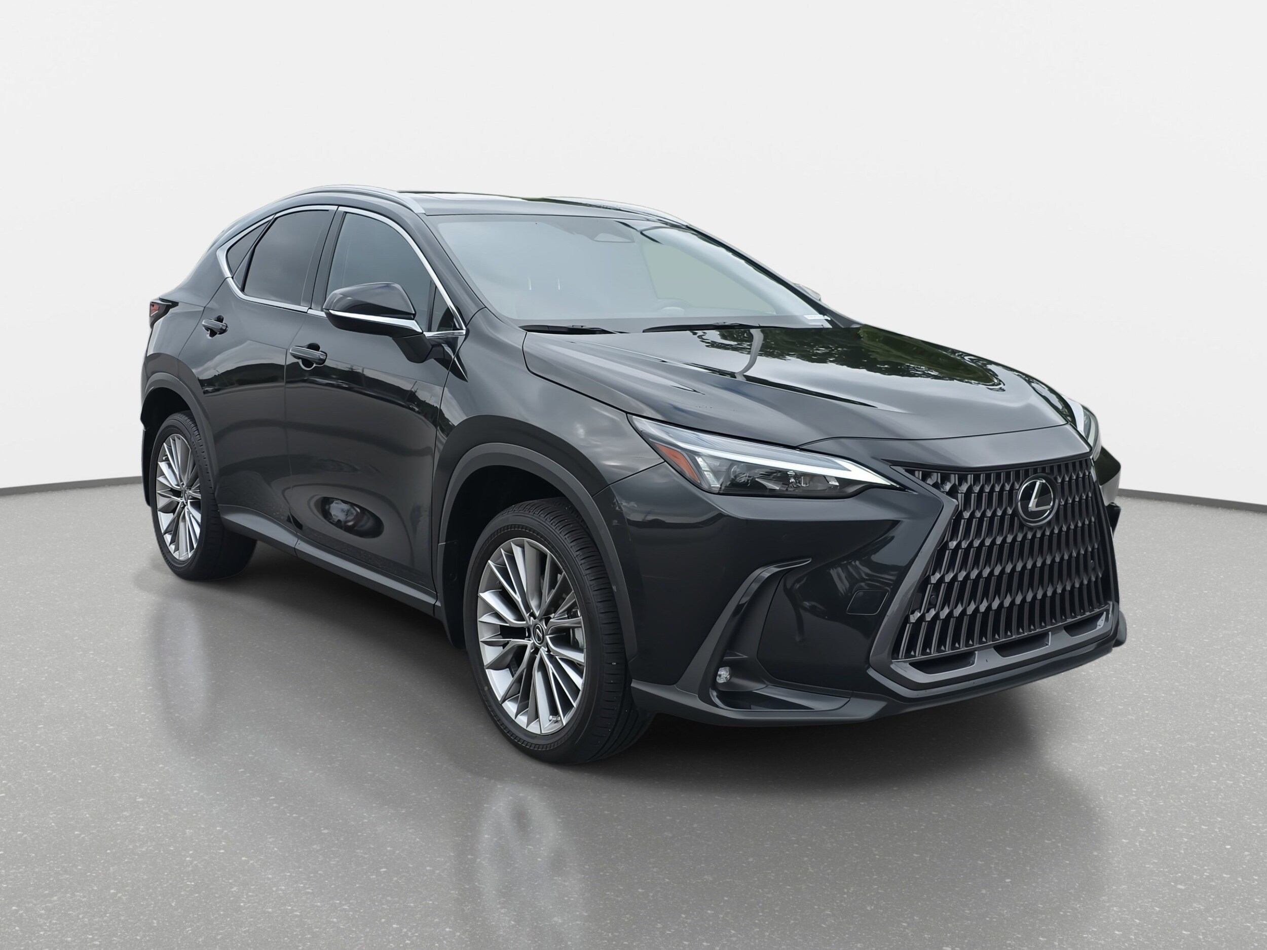 2023 Lexus NX 350h Premium photo 2