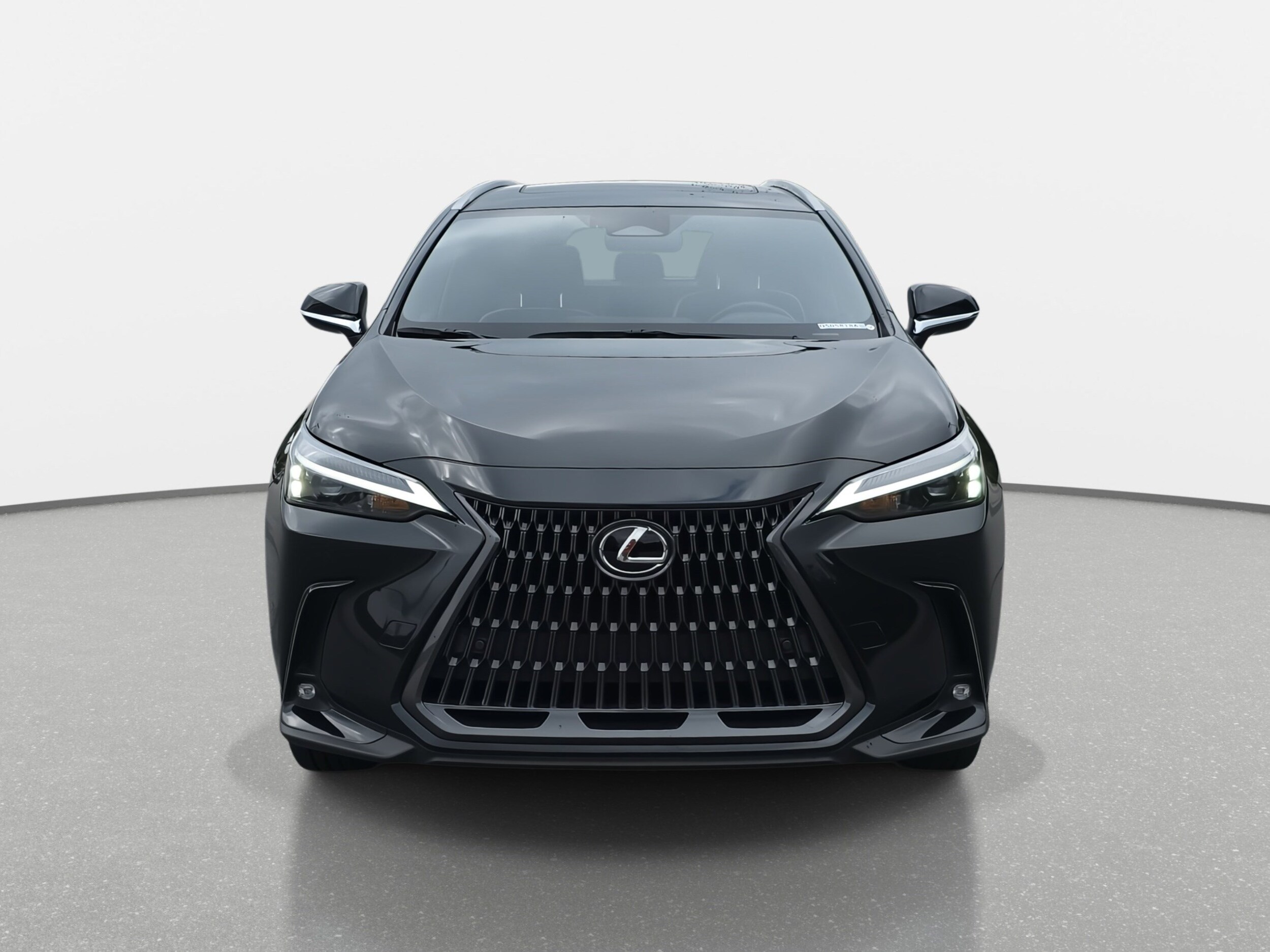 2023 Lexus NX 350h Premium photo 2