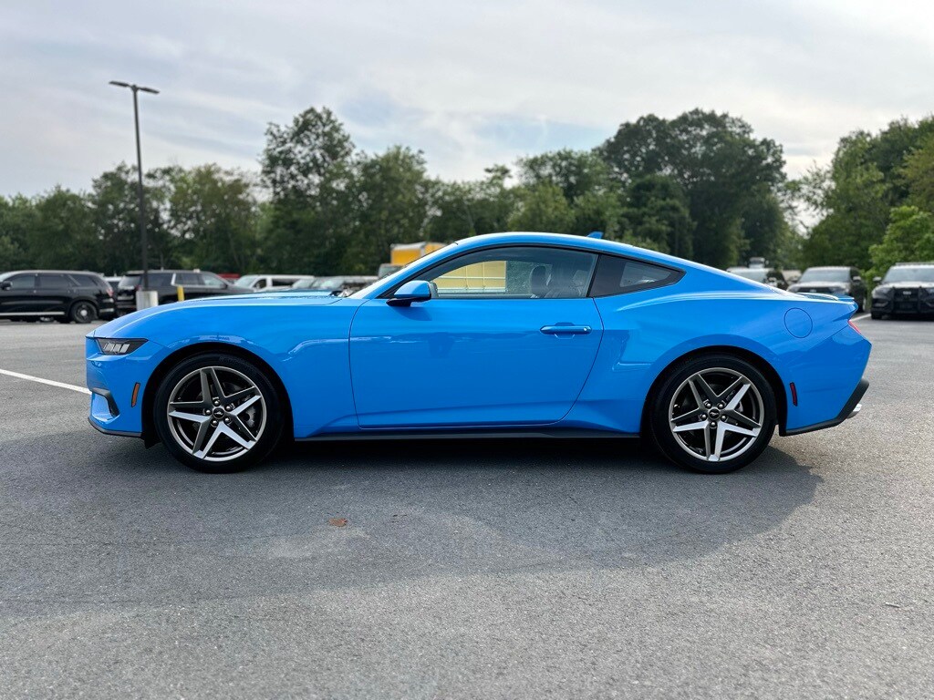 2024 Ford Mustang EcoBoost Premium photo 3