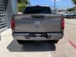 2024 Ford F-150 STX Pickup