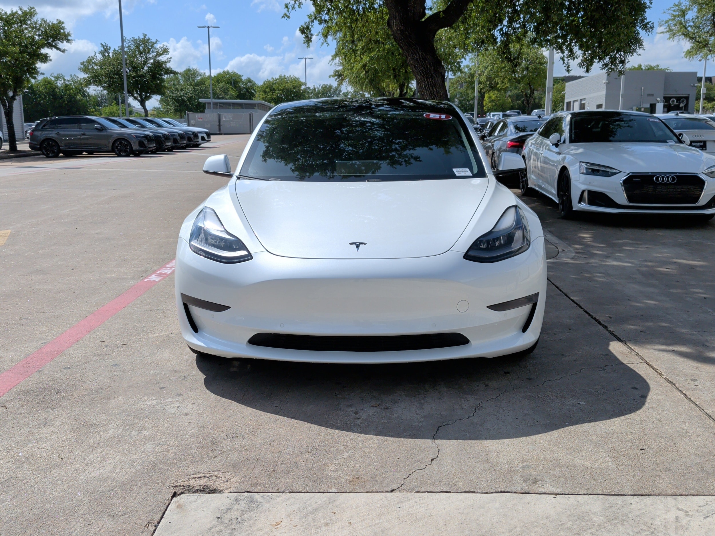 2021 Tesla Model 3 Standard Range Plus photo 2