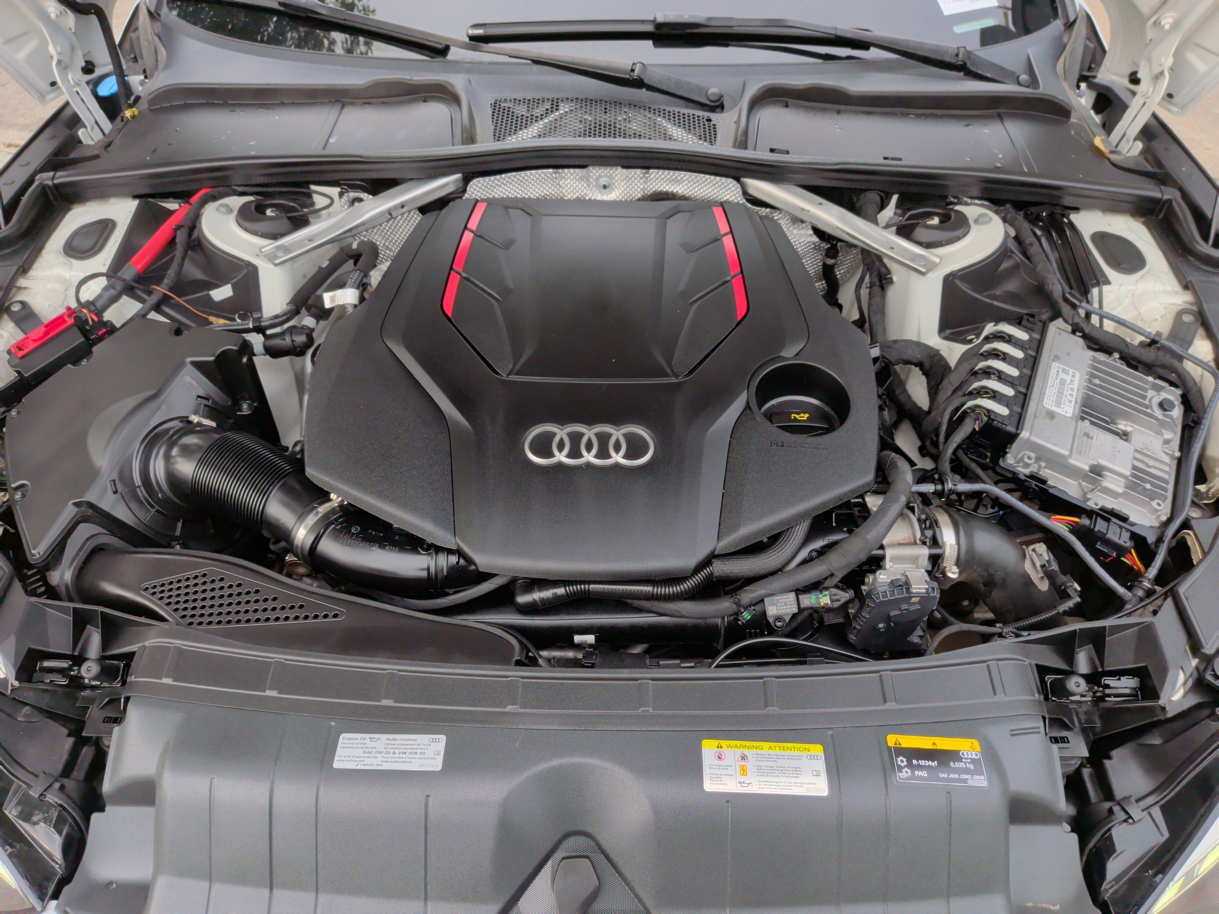 2021 Audi S5 Sportback Prestige photo 3