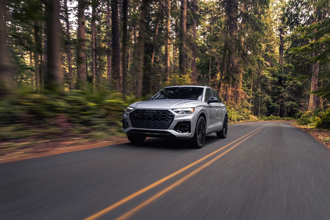 2025 Audi SQ5 for sale in Austin