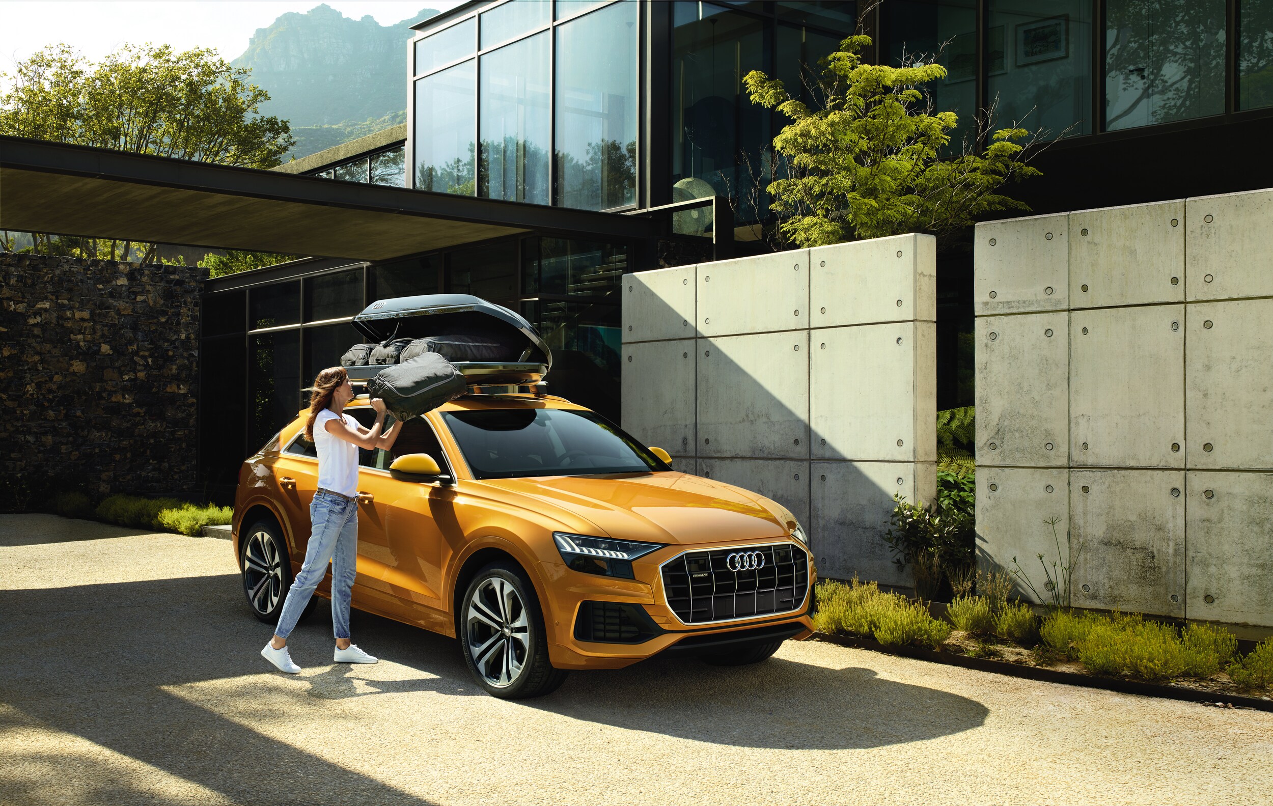 2019 Audi Q8