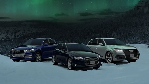 Gamme de VUS Audi garée sur la neige
