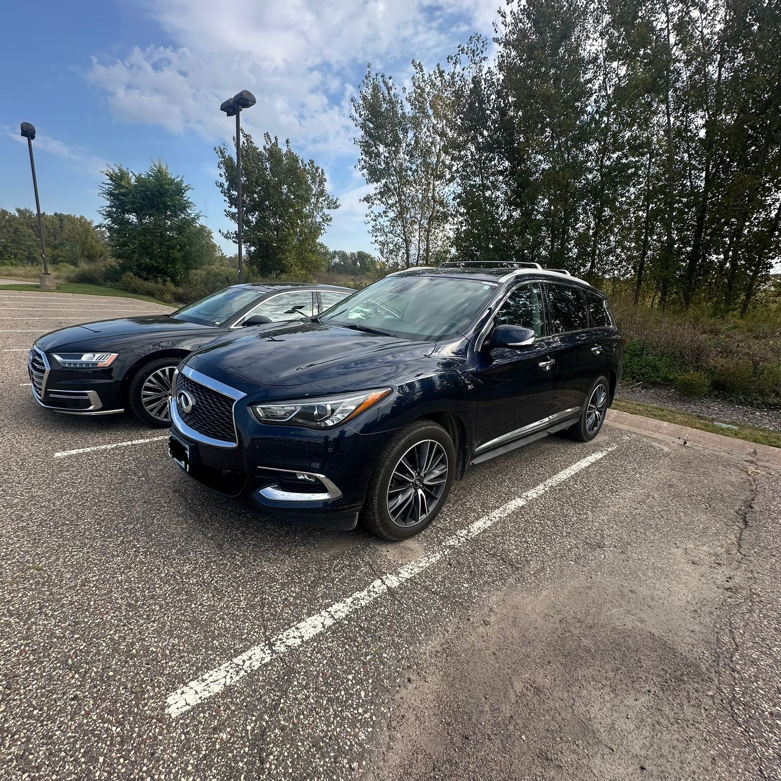 Thumbnail: 2019 INFINITI QX60 - 2