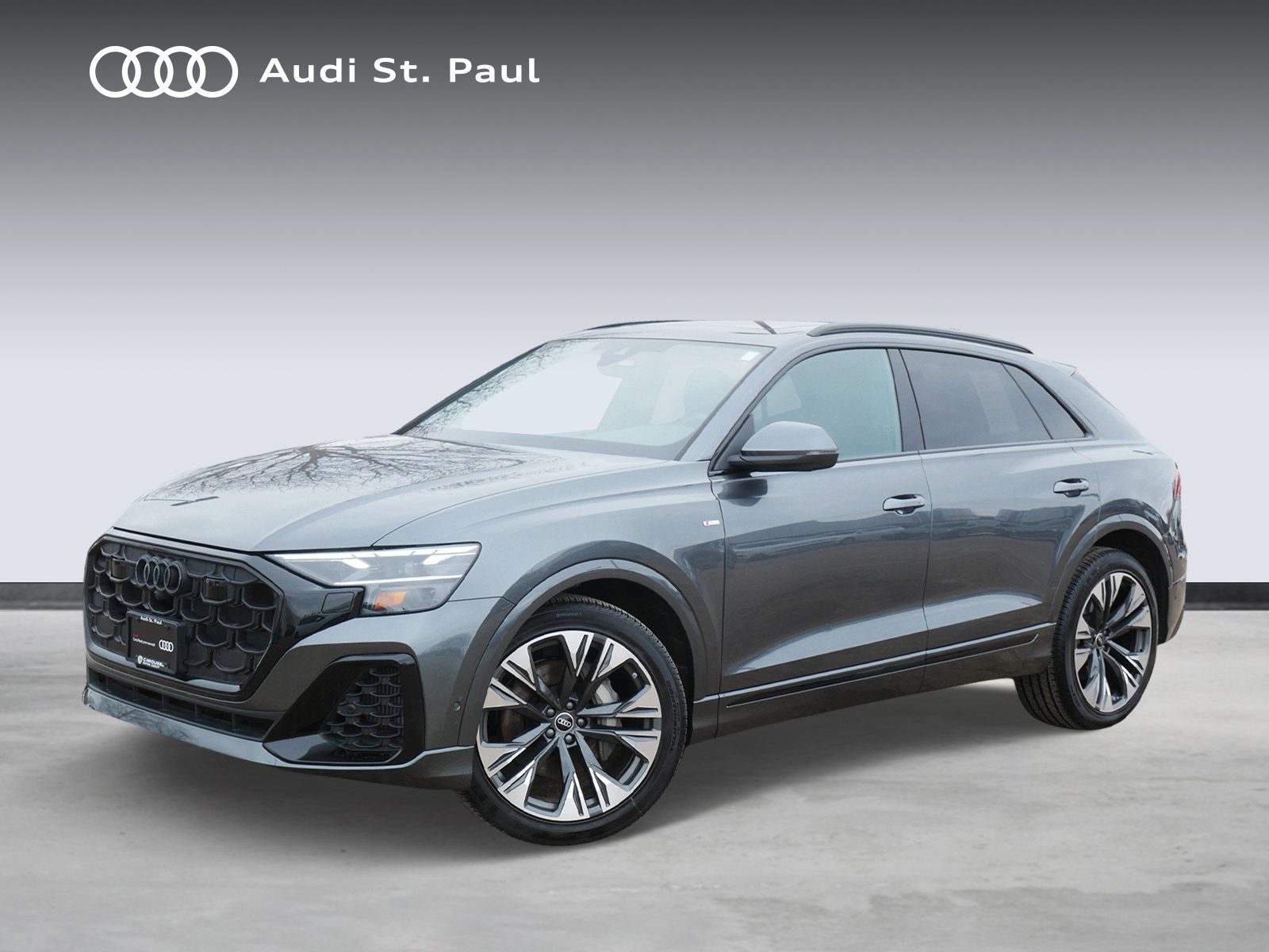 Thumbnail: 2025 Audi Q8 - 1
