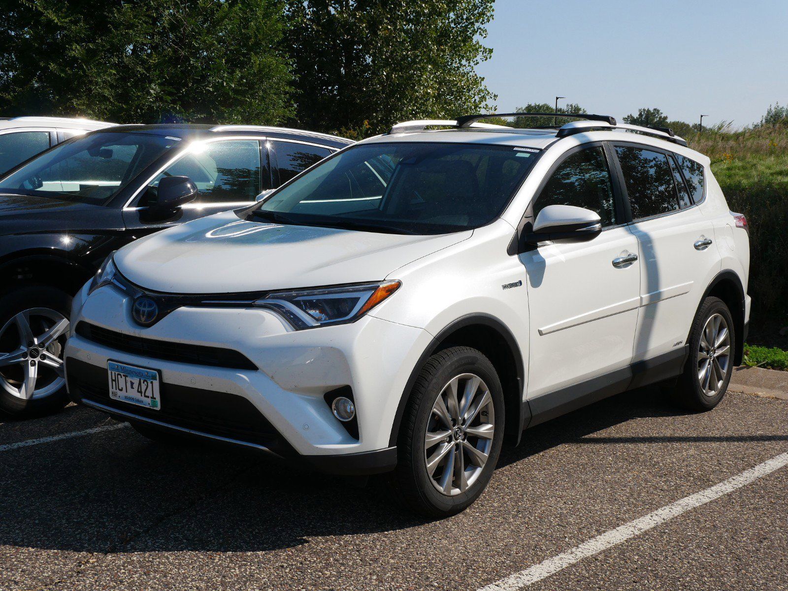 2016 Toyota RAV4 Limited -
                Saint Paul, MN