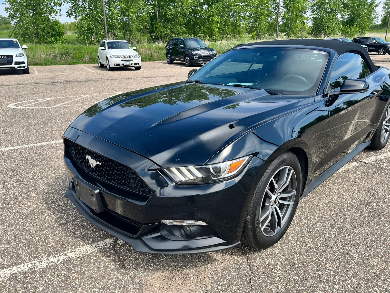 Used 2016 Ford Mustang EcoBoost Premium with VIN 1FATP8UH7G5324024 for sale in Saint Paul, Minnesota