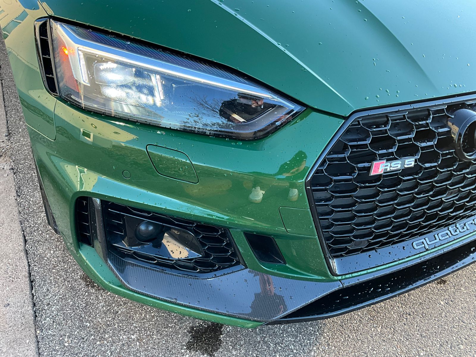 Thumbnail: 2019 Audi RS 5 - 15