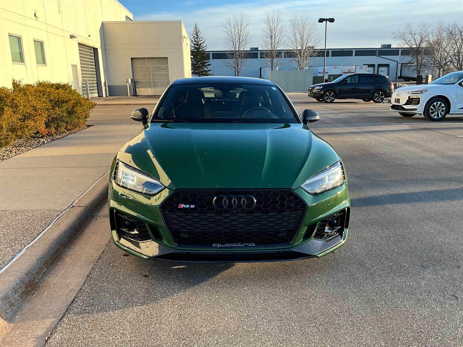 Thumbnail: 2019 Audi RS 5 - 10