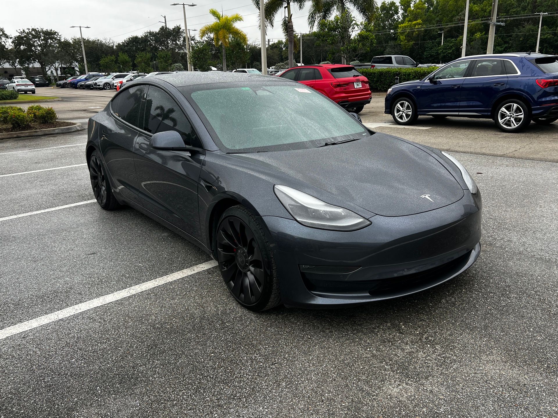 2021 Tesla Model 3 Base's photo