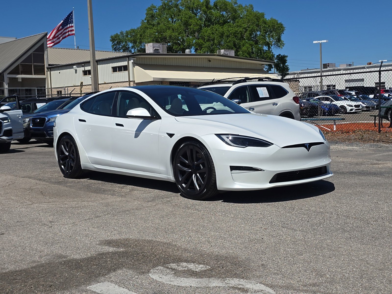 Used 2023 Tesla Model S Standard Range with VIN 5YJSA1E56PF511868 for sale in Tampa, FL