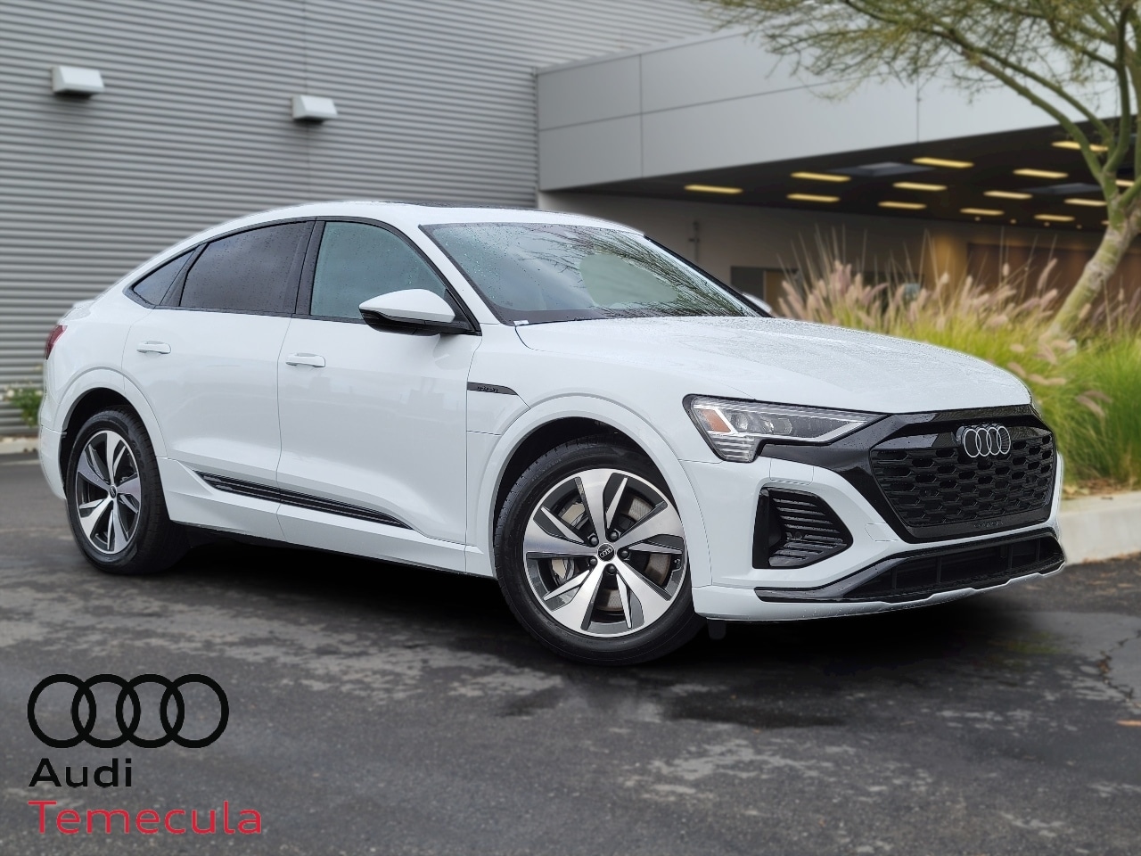 New 2024 Audi Q8 Sportback etron S line Premium SUV in Carlsbad T4426