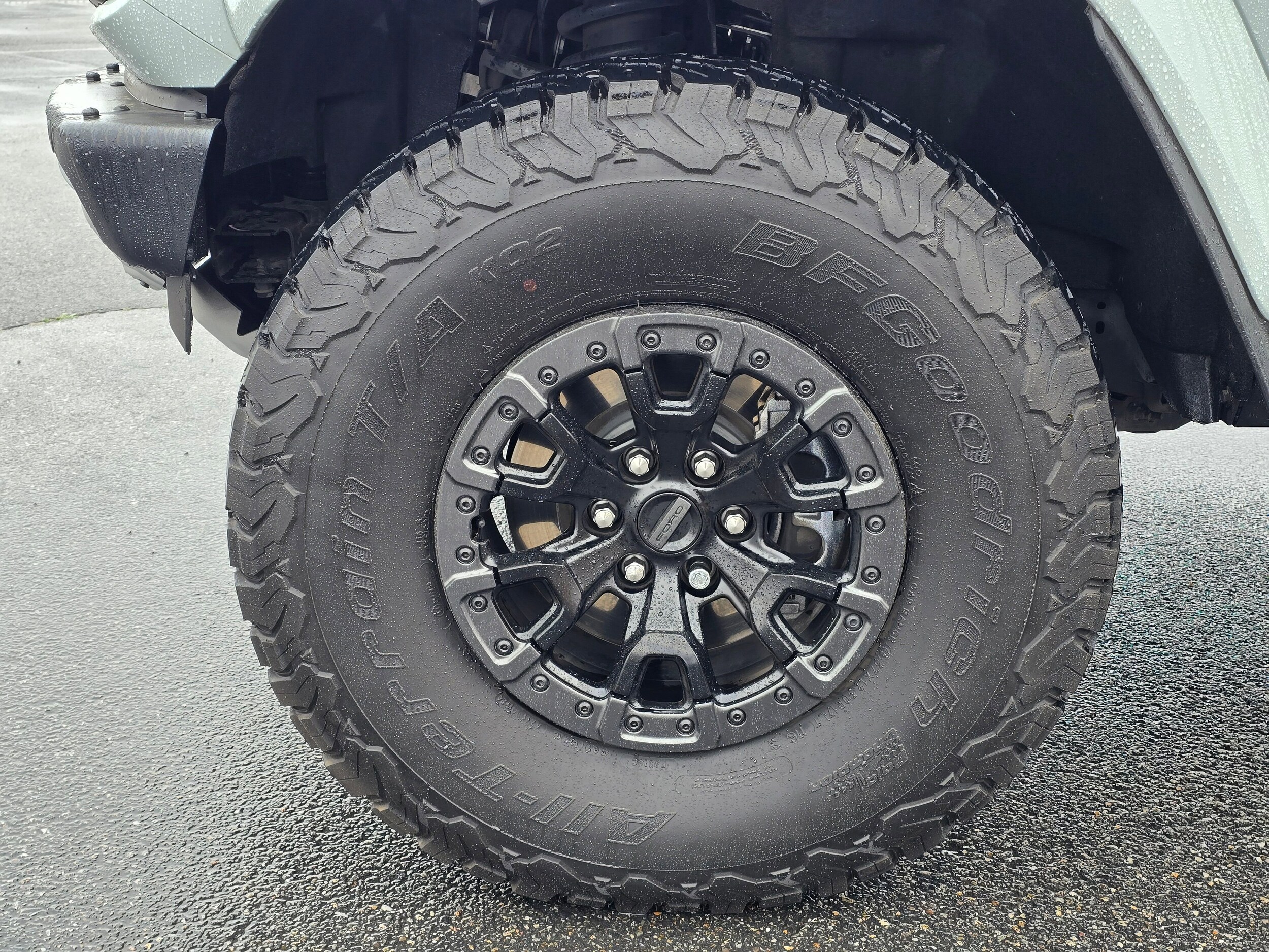 Used 2024 Cactus Gray Ford Raptor image 40