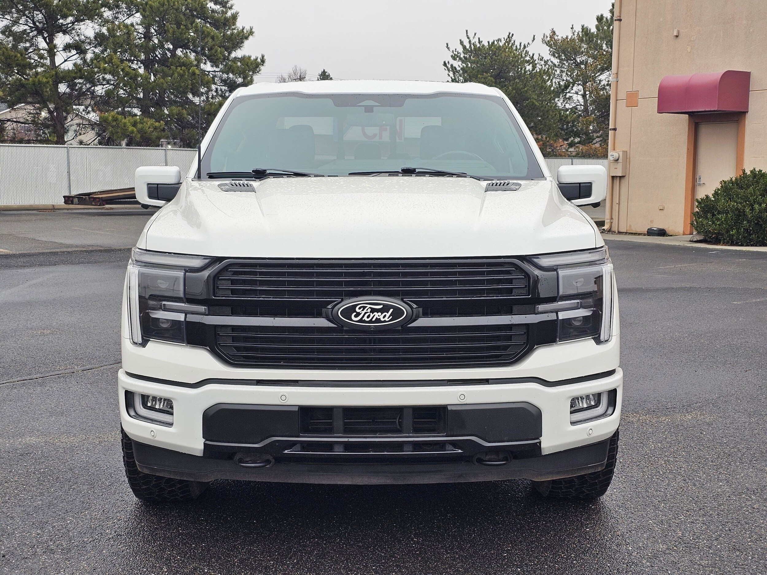 Used 2024 Star White Metallic Tri-Coat Ford Platinum image 7