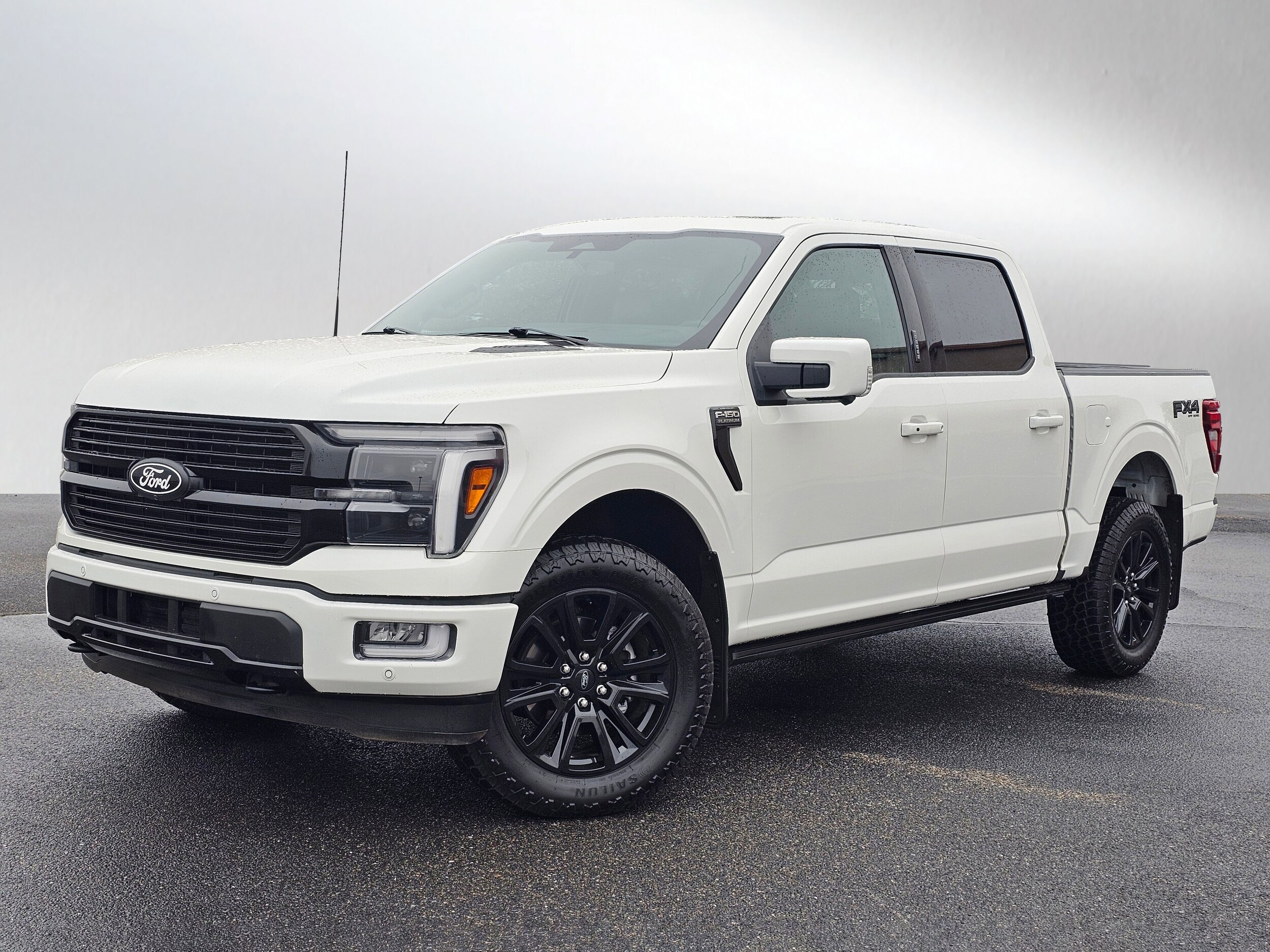 Used 2024 Star White Metallic Tri-Coat Ford Platinum image 33