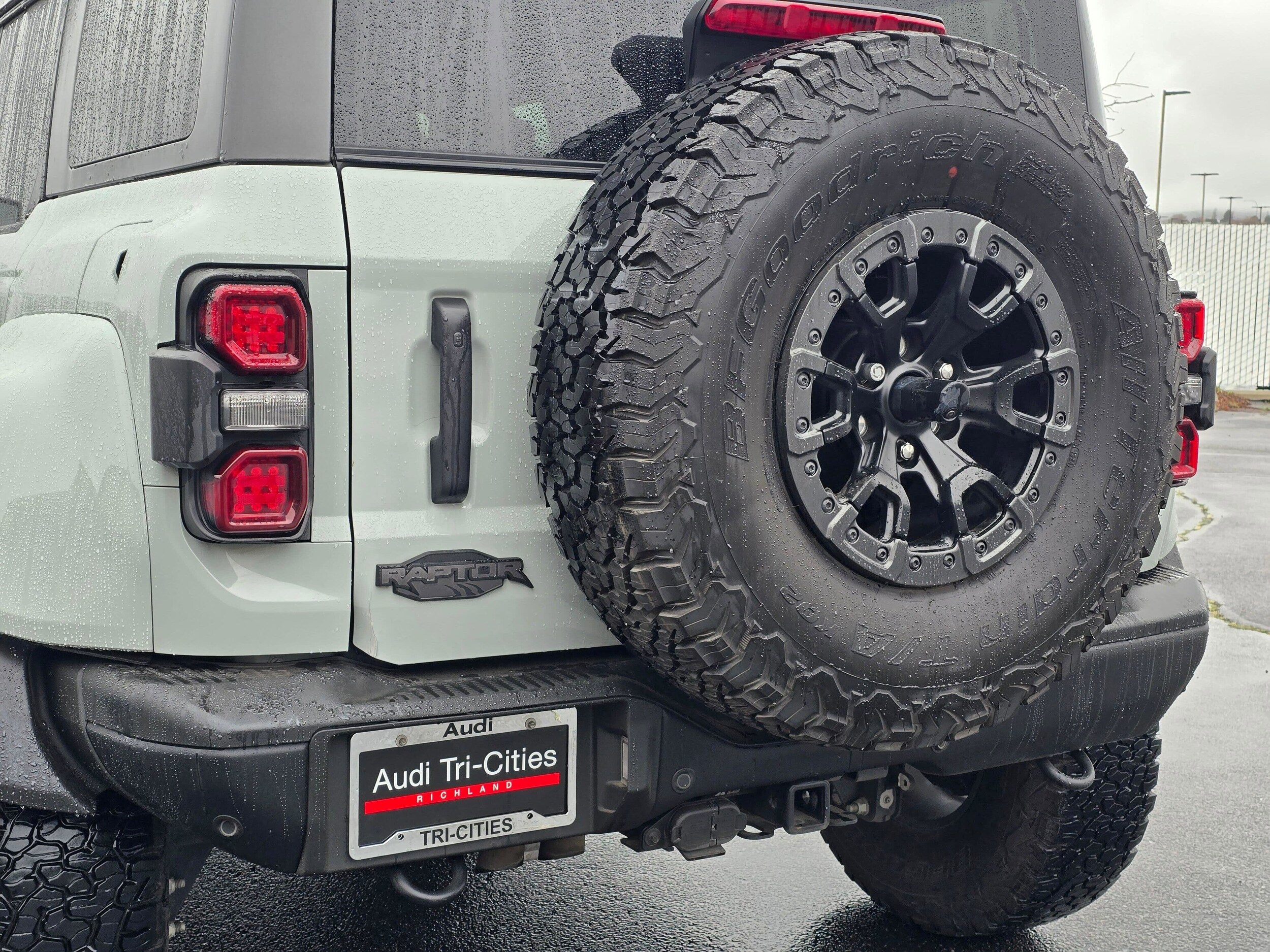 Used 2024 Cactus Gray Ford Raptor image 8