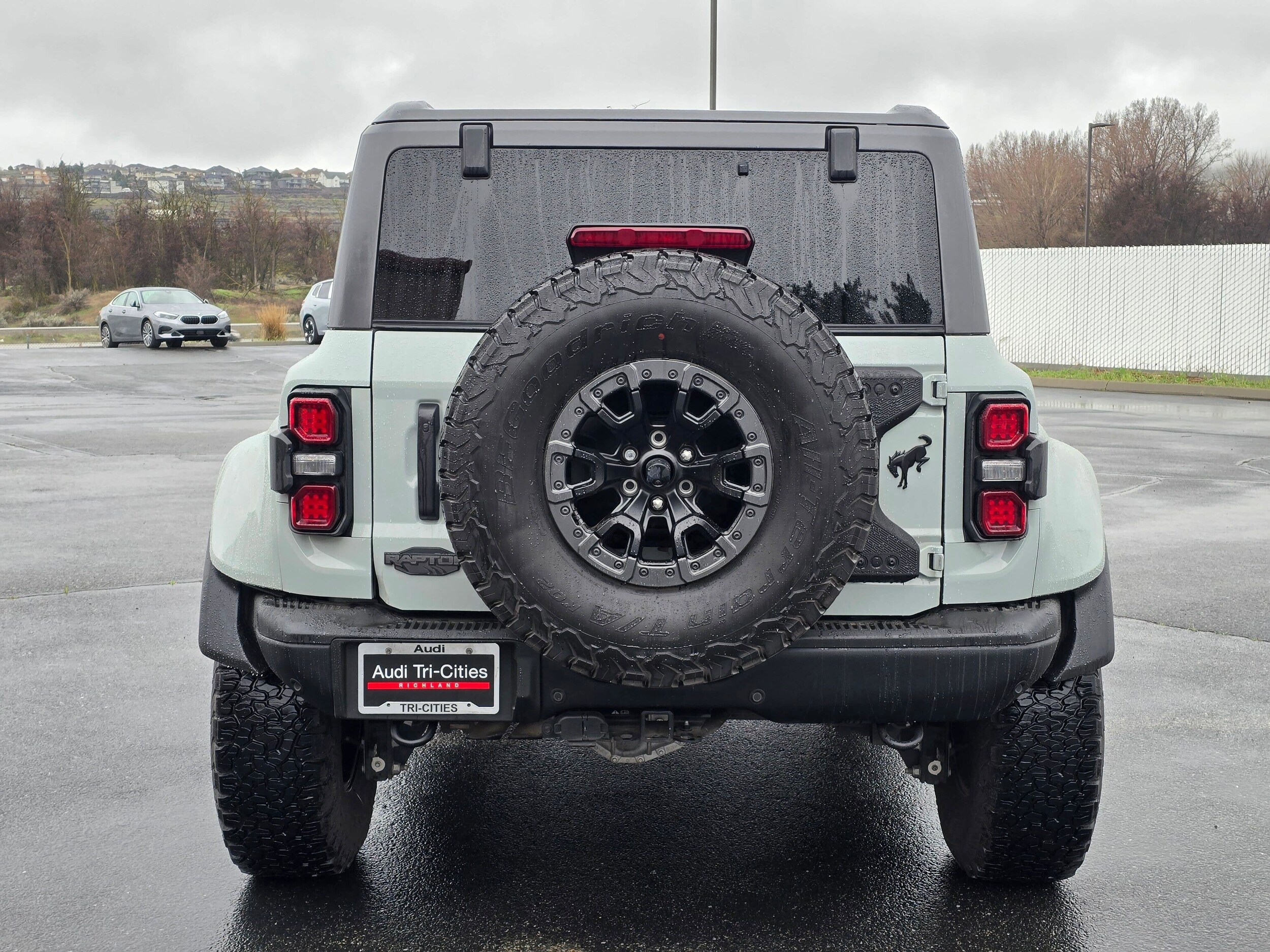 Used 2024 Cactus Gray Ford Raptor image 6