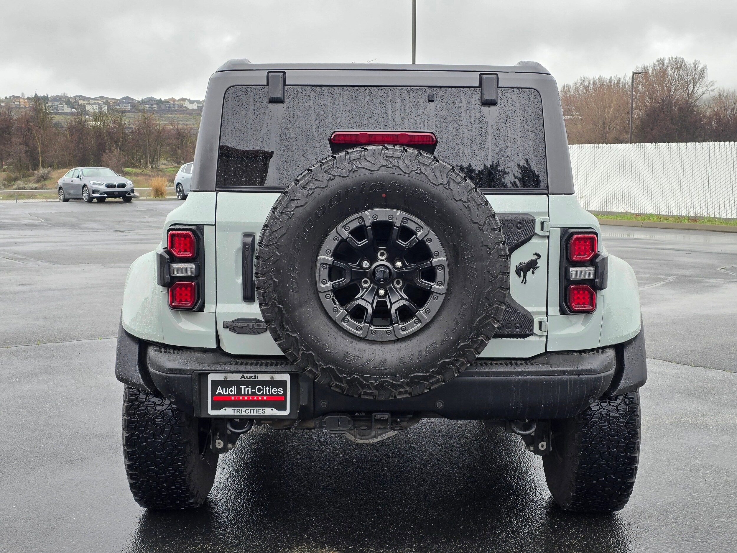Used 2024 Cactus Gray Ford Raptor image 37
