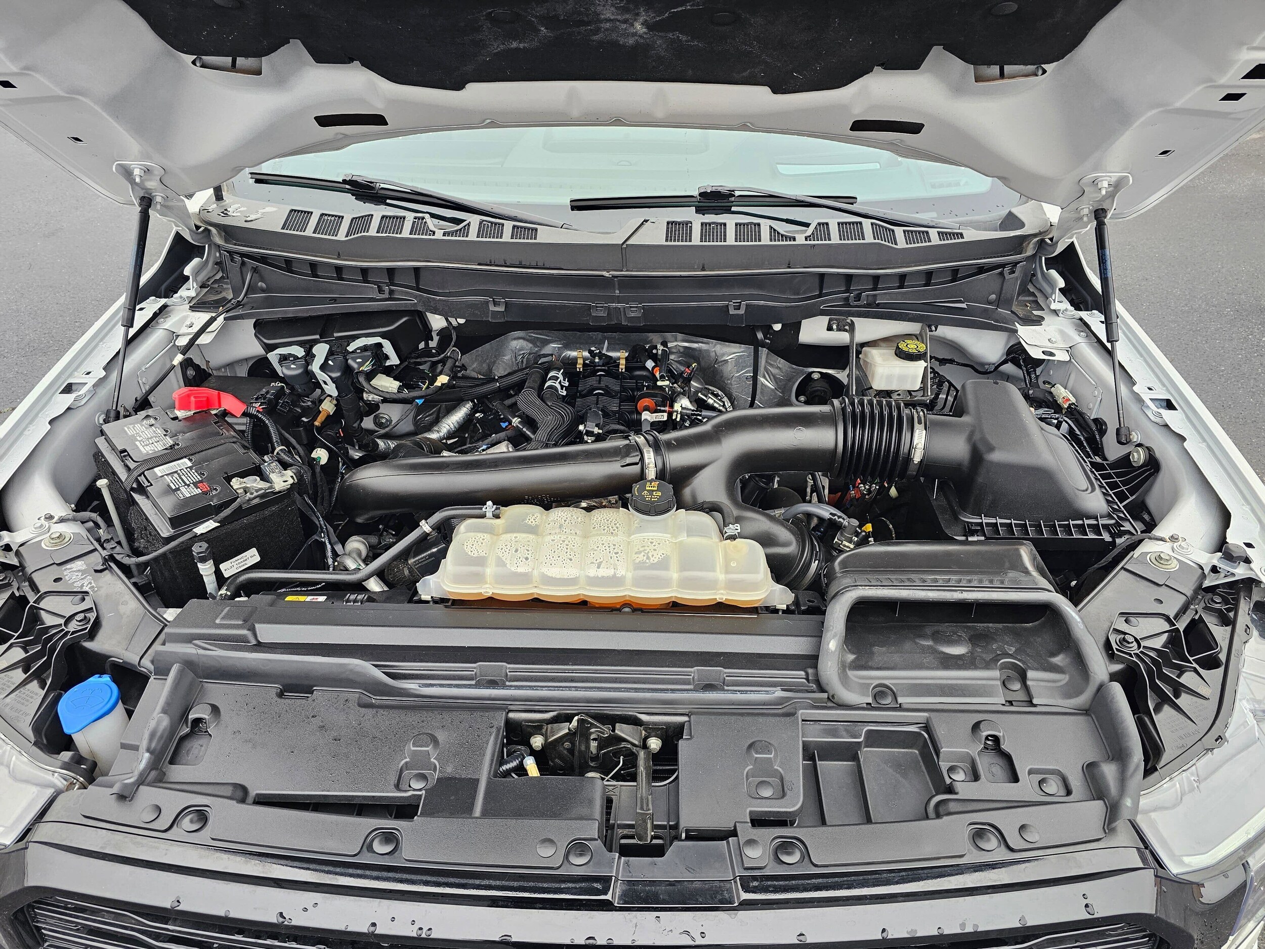 Used 2024 Star White Metallic Tri-Coat Ford Platinum image 10