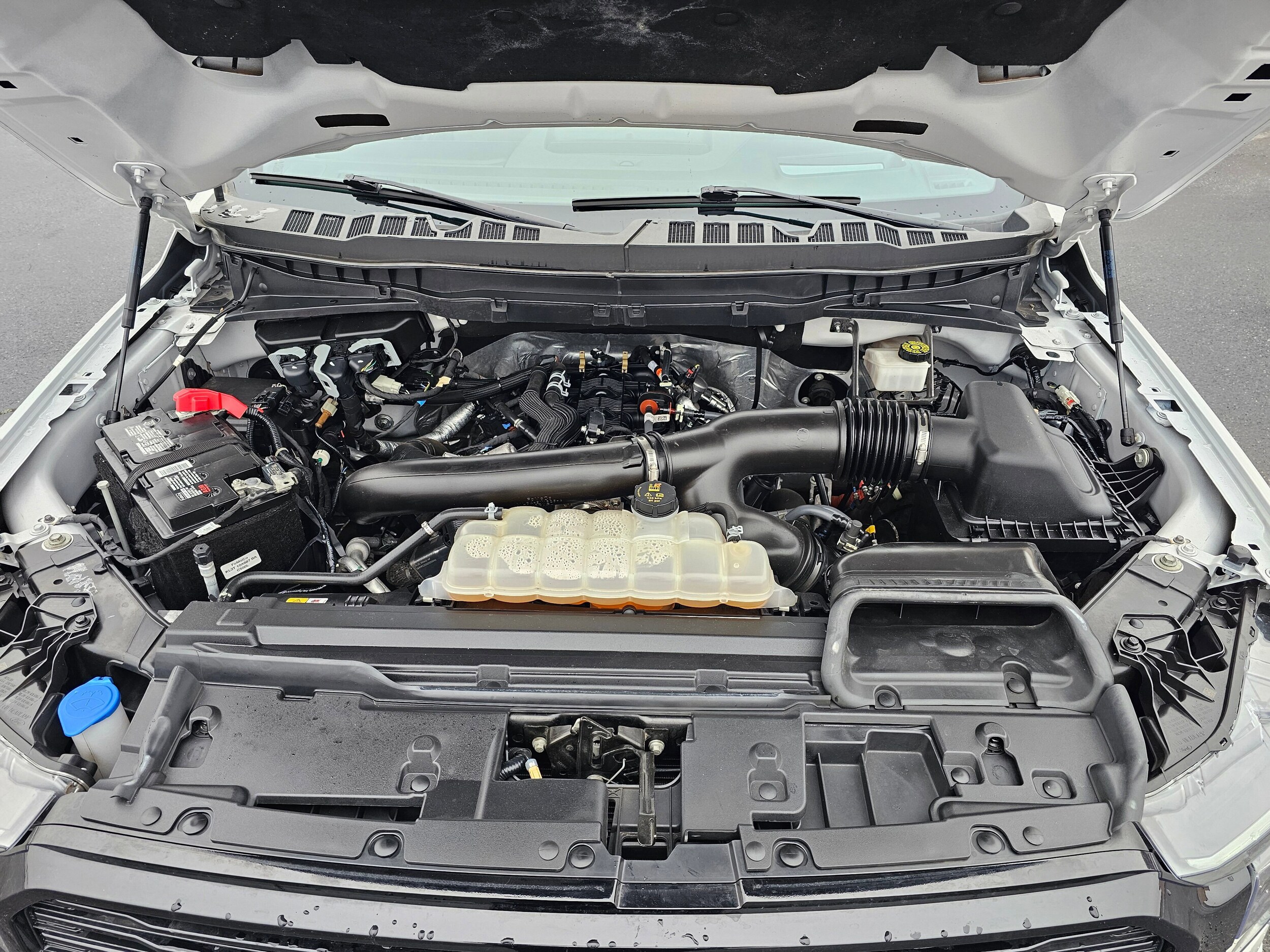 Used 2024 Star White Metallic Tri-Coat Ford Platinum image 41