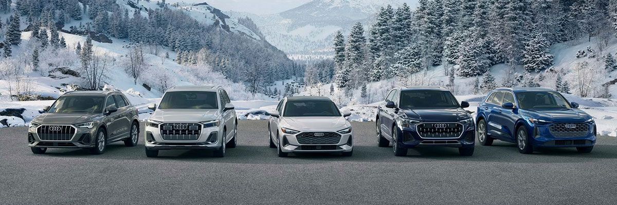 Audi Vehicles Parked in Nature on a Snowy Day