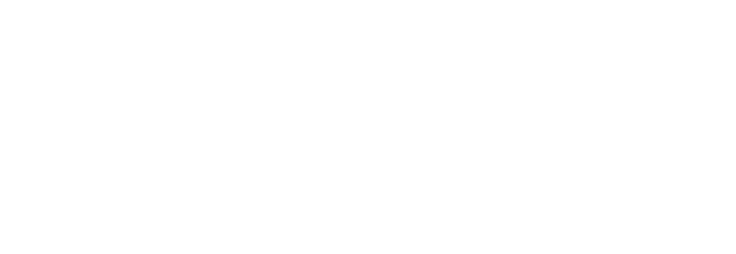 Audi rings