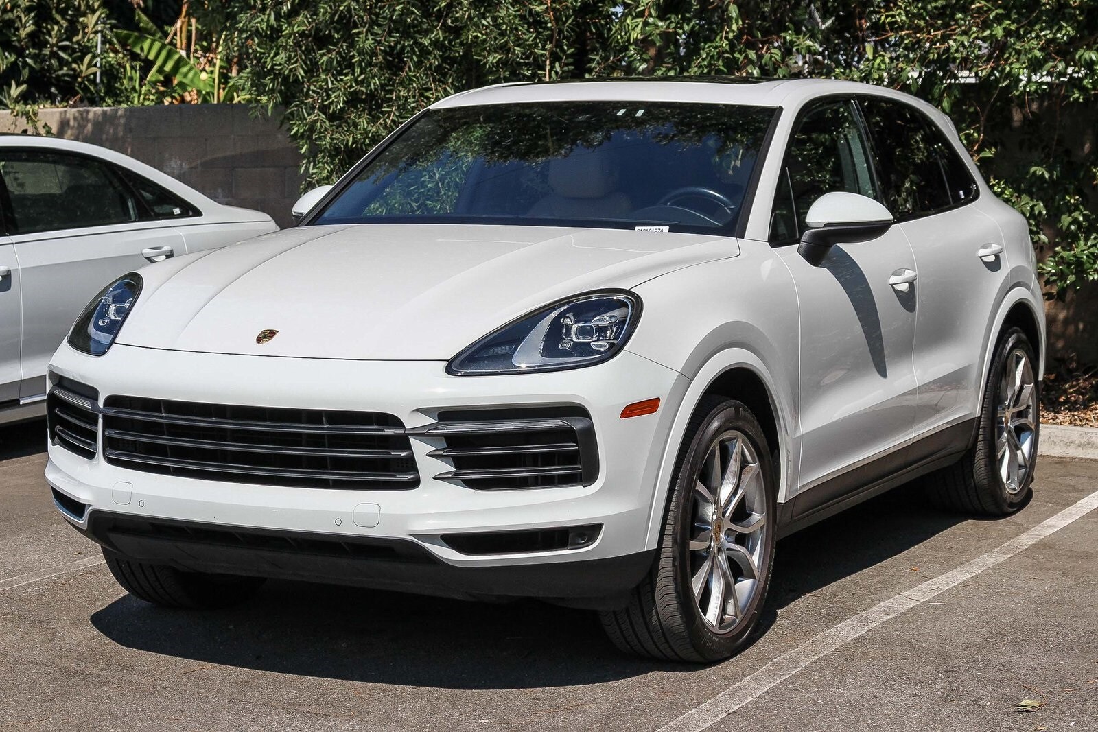 2019 Porsche Cayenne Base photo 2