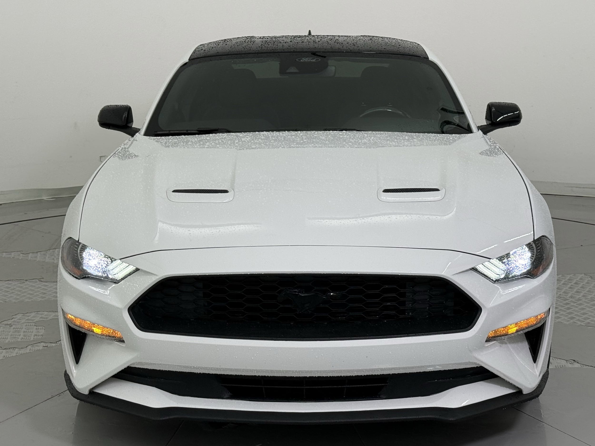 Used 2021 Ford Mustang EcoBoost with VIN 1FA6P8TH0M5133202 for sale in Houston, TX