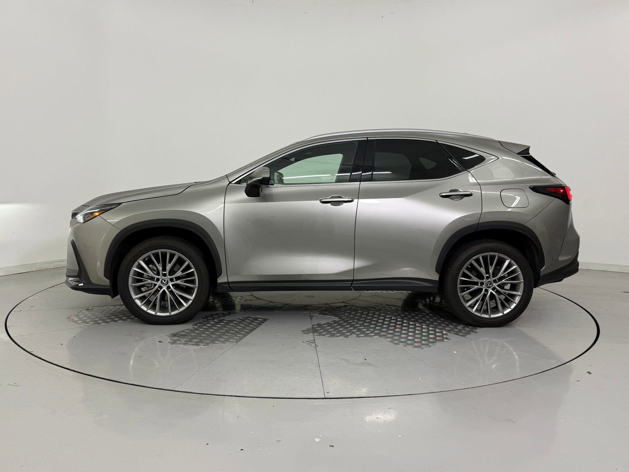 2023 Lexus NX 350h Luxury photo 2