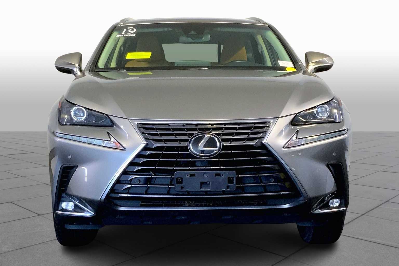 2019 Lexus NX 300 Luxury photo 3
