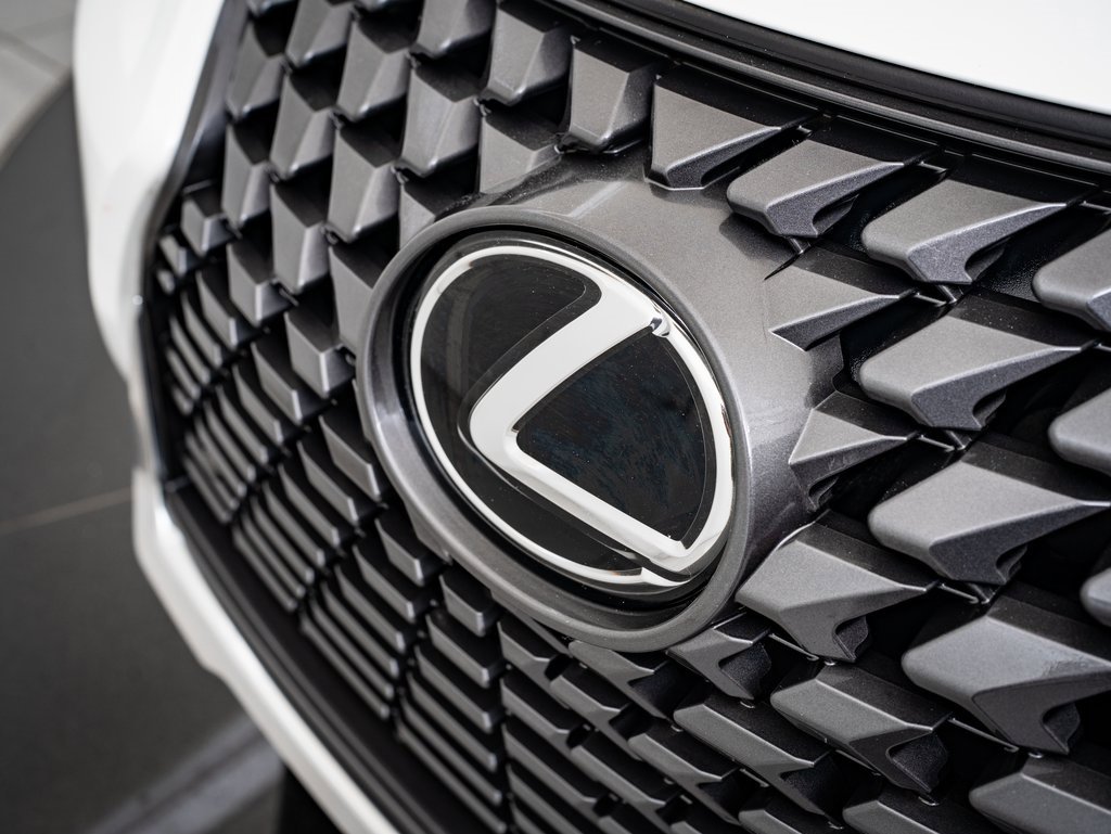 2025 Lexus UX Premium photo 3