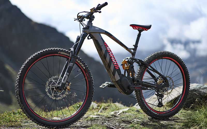 Audi e tron bike sale